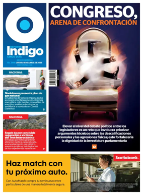 Cover of Reporte Indigo Nacional