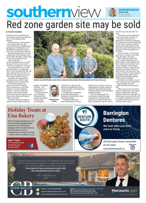 Cover of Southern View