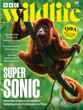 Cover of BBC Wildlife Magazine