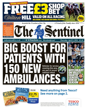 Cover of The Sentinel