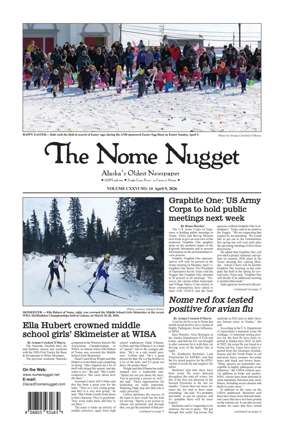 Cover of The Nome Nugget