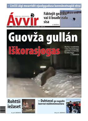 Cover of Avvir