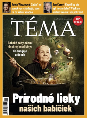 Cover of Tema