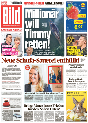 Cover of BILD Sachsen-Anhalt