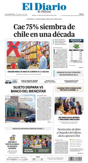 Cover of El Diario de Delicias