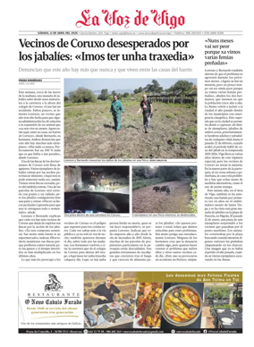 Cover of Vigo local