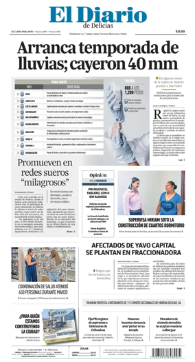Cover of El Diario de Delicias