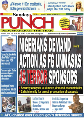 Cover of Sunday Punch
