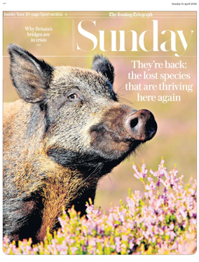 Cover of Sunday