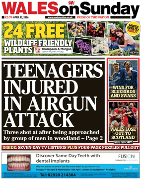 Cover of Wales On Sunday