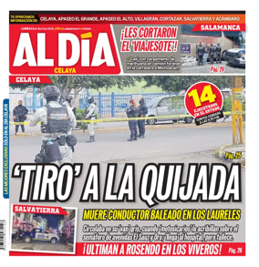 Cover of Periodico Al Dia (Celaya)