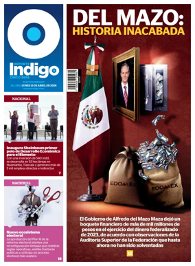 Cover of Reporte Indigo Nacional