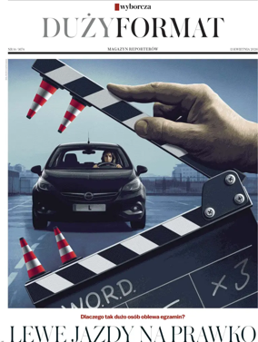 Cover of Duzy Format