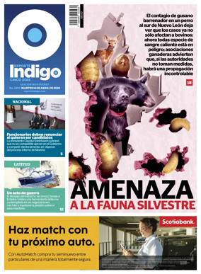 Cover of Reporte Indigo Monterrey