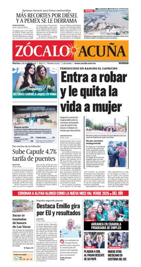 Cover of Zocalo Acuna