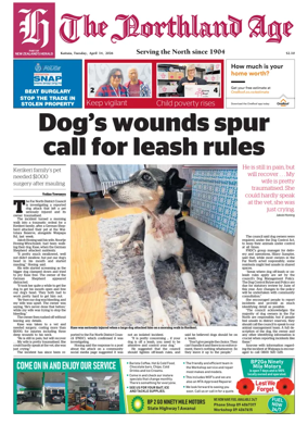 Cover of The Northland Age