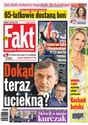Cover of Fakt