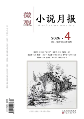 Cover of Minifiction monthly