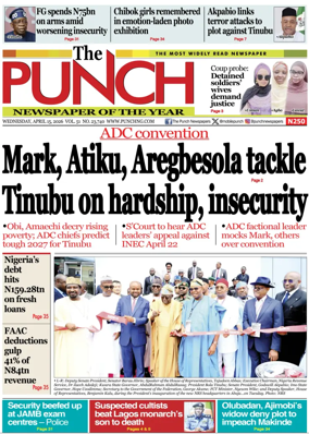 Cover of The Punch