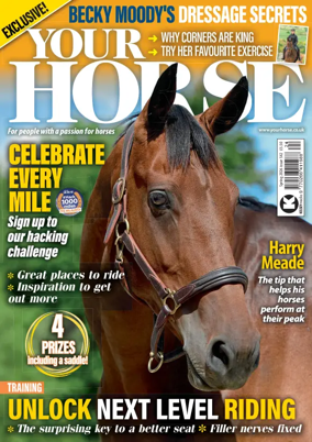 Cover of Your Horse (UK)