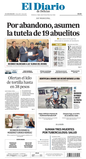 Cover of El Diario de Delicias