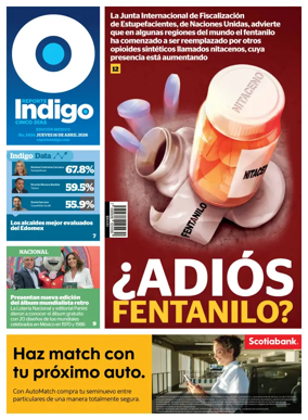 Cover of Reporte Indigo Nacional