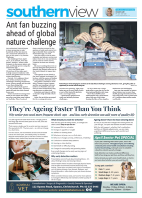 Cover of Southern View