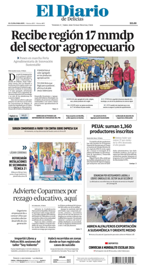 Cover of El Diario de Delicias