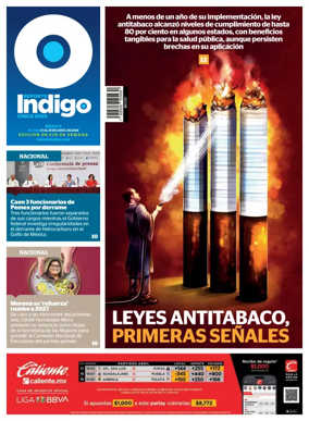 Cover of Reporte Indigo Nacional