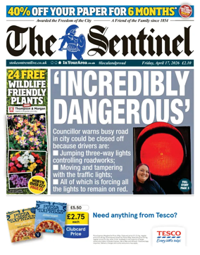 Cover of The Sentinel