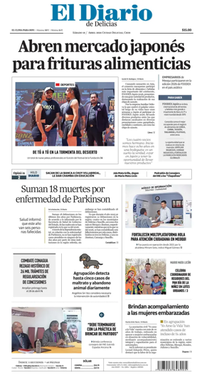Cover of El Diario de Delicias