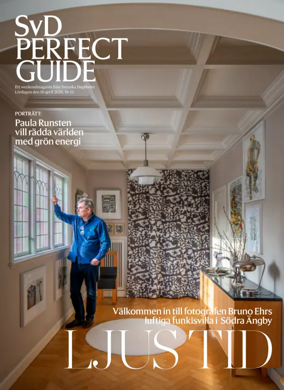 Cover of SvD Perfect Guide