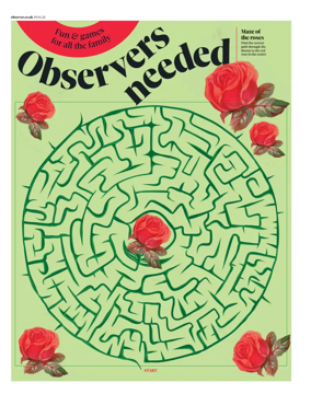 Cover of Observers Needed