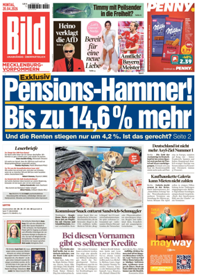Cover of BILD Mecklenburg