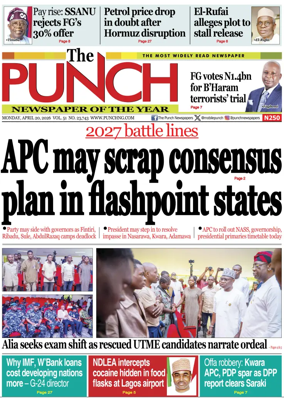 Cover of The Punch