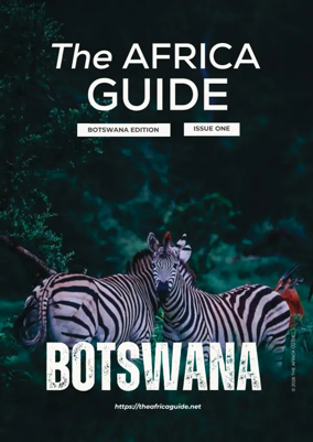Cover of The Africa Guide