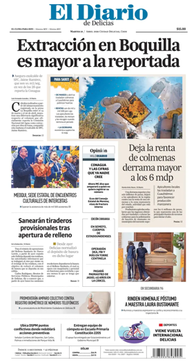 Cover of El Diario de Delicias