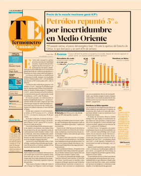 Cover of Termometro Economico