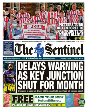 Cover of The Sentinel