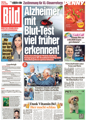 Cover of BILD Mecklenburg