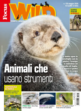 Cover of Focus Wild