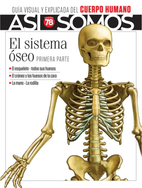 Cover of Asi Somos
