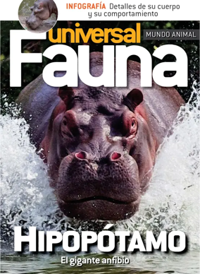 Cover of Fauna universal