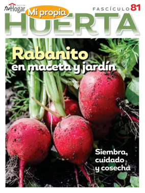 Cover of Huerta en casa
