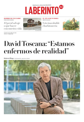 Cover of Laberinto