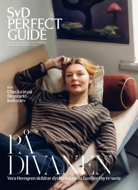 Cover of SvD Perfect Guide