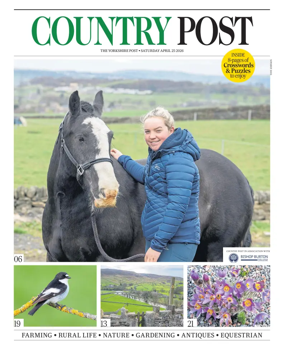 Cover of Country Week