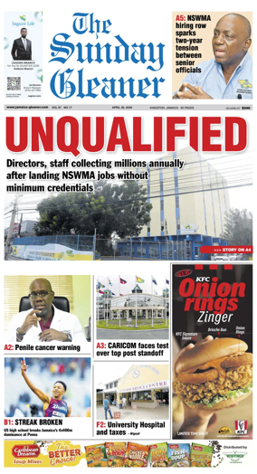 Cover of The Gleaner