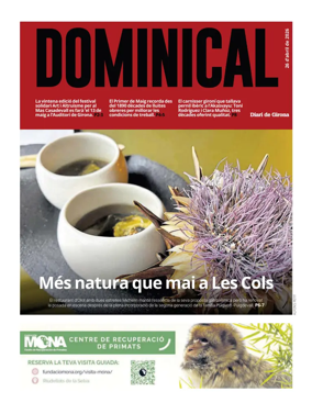 Cover of Dominical