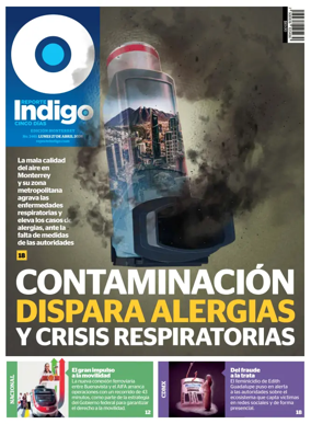 Cover of Reporte Indigo Monterrey